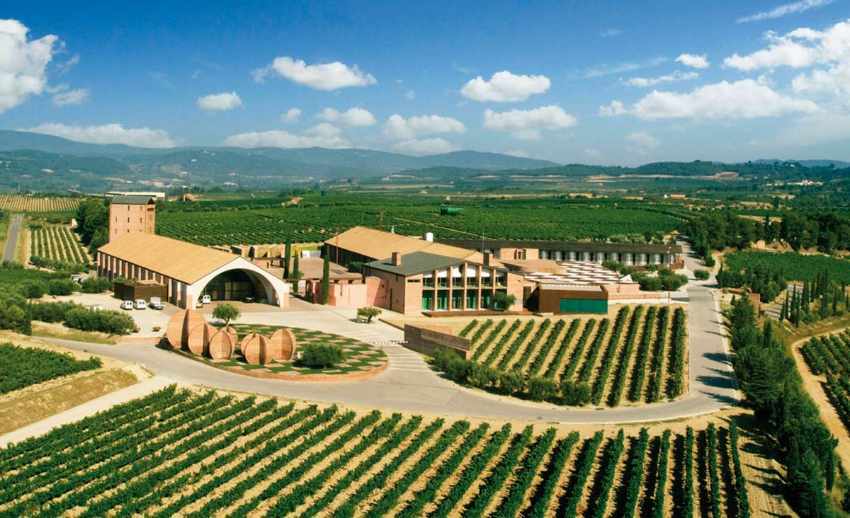Cava Xarel·lo and Chardonnay by Juvé i Camps