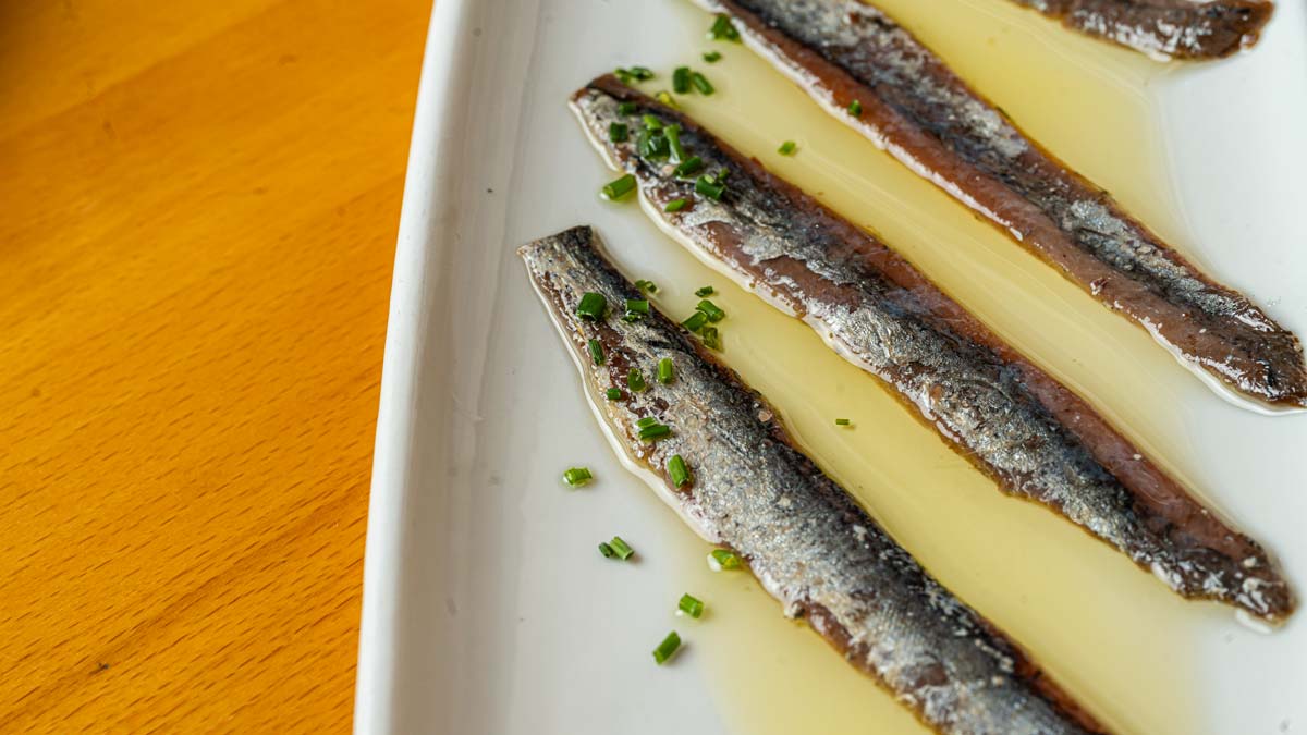 Anchoas del Cantábrico en Mes de Vi